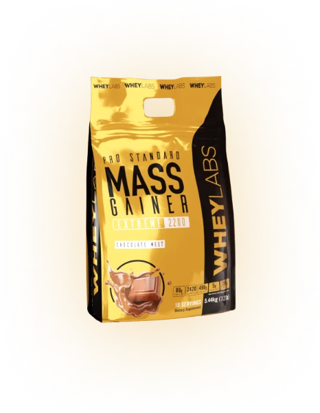 WheyLabs Pro Standard Mass Gainer Extreme — Chocolate Melt